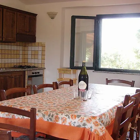 Domus Trebini *