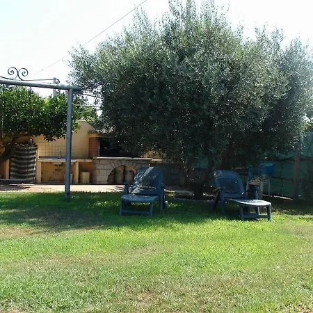 Domus Trebini *