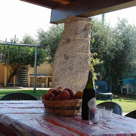 Domus Trebini *